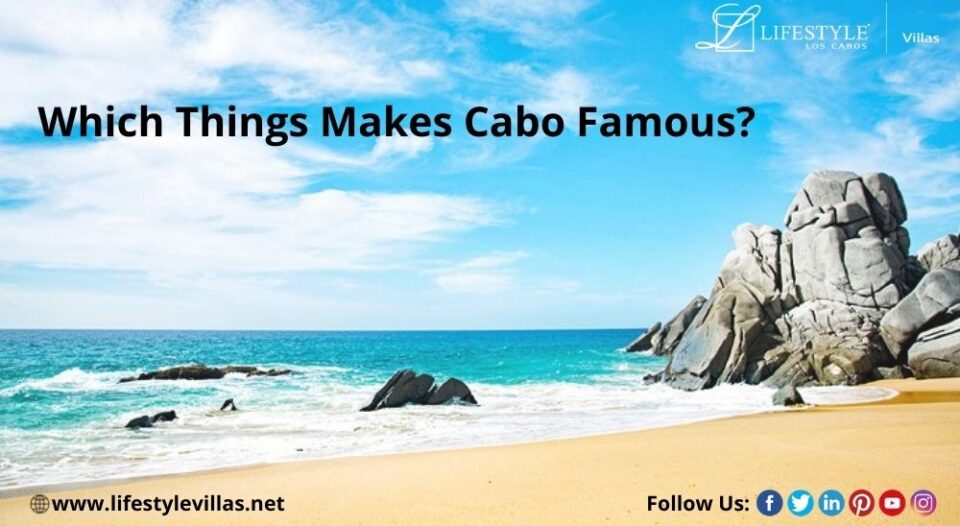 Things to do in Cabo San Lucas