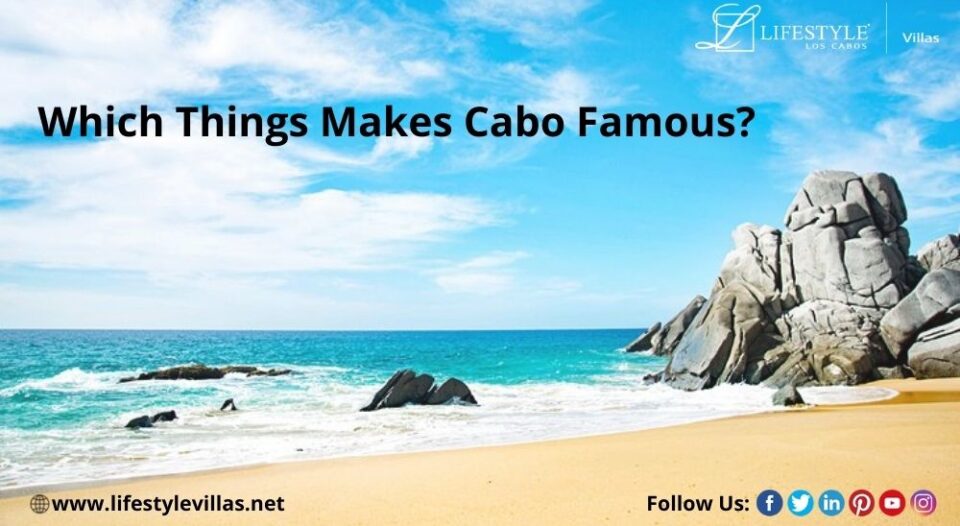 Things to do in Cabo San Lucas