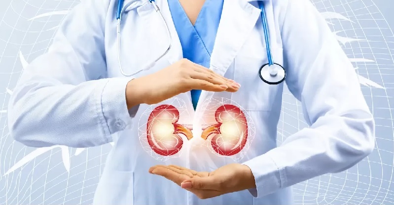 Renal Research Tools
